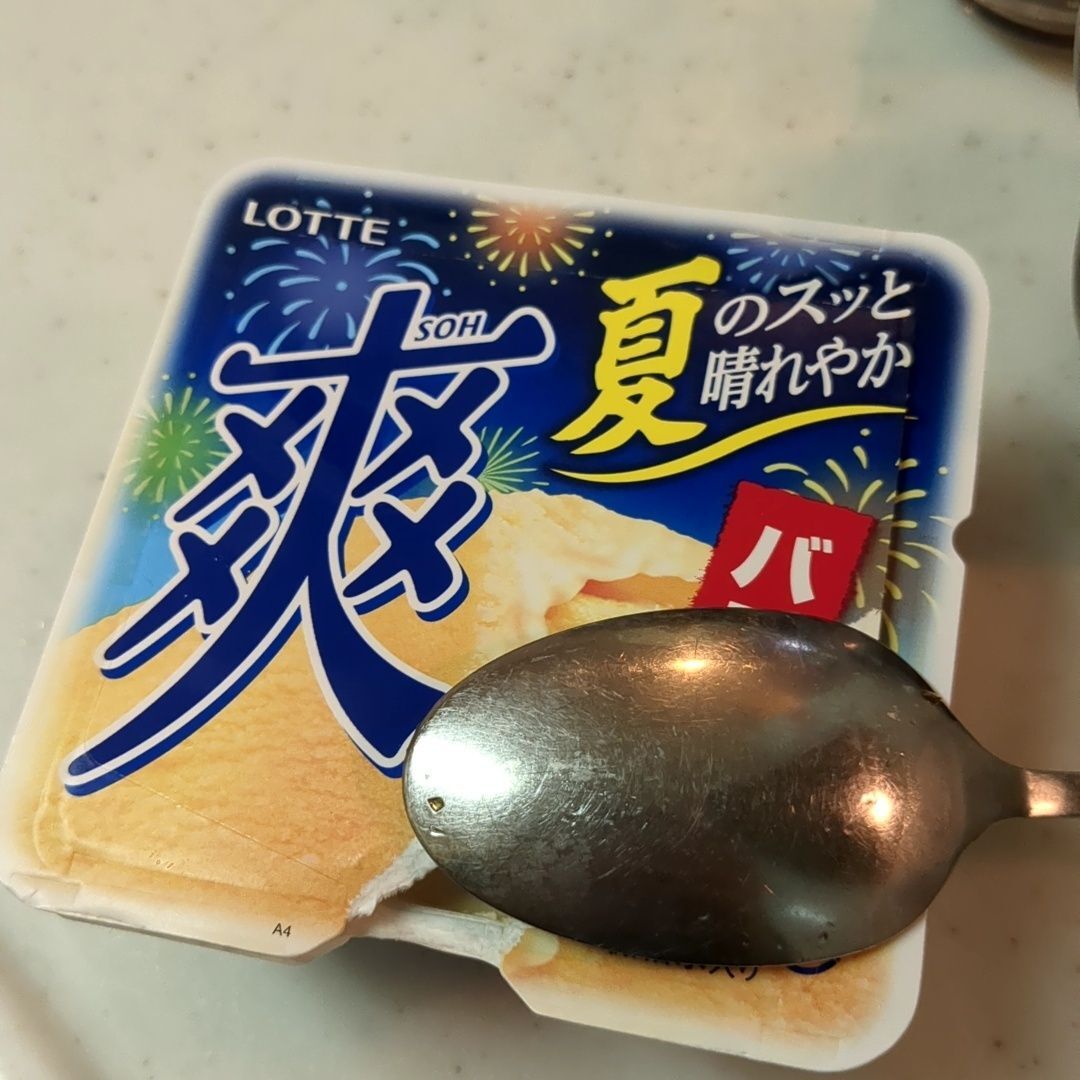 今日のアイスはこれ！