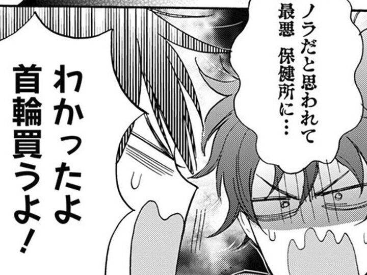 「首輪つけたら?」猫の家出騒ぎから一夜明け…。不安をあおる友人に思わず【同居人はひざ、時々、頭のうえ。#55】