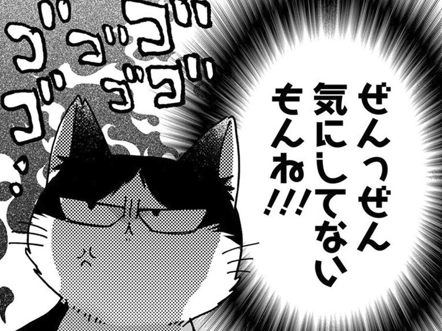 優しくしたり怒ったり…人間はいつも勝手。わたしがいていい場所はどこにもない【同居人はひざ、時々、頭のうえ。#51】