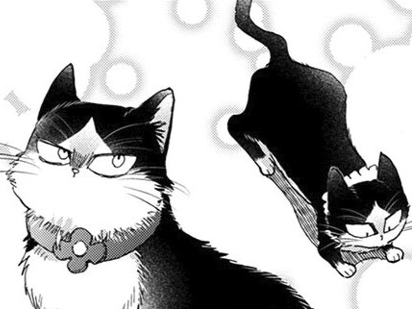 猫の首輪なんて所詮人間の自己満足。そう思うのに…「慣れないことをした…」【同居人はひざ、時々、頭のうえ。#58】
