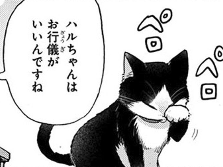 爪とぎの跡が見当たらない？お行儀がいいと思ったら…秘密の場所がありました【同居人はひざ、時々、頭のうえ。#63】