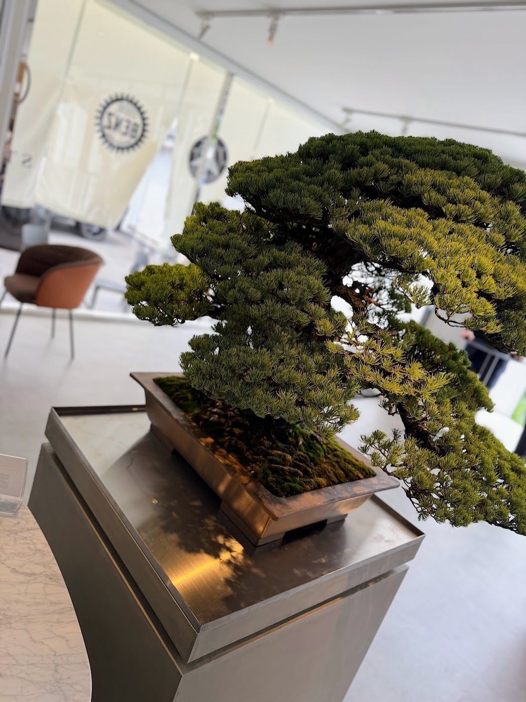 音楽・家具・バーが併設された「Mercedes-Benz LOUNGE」