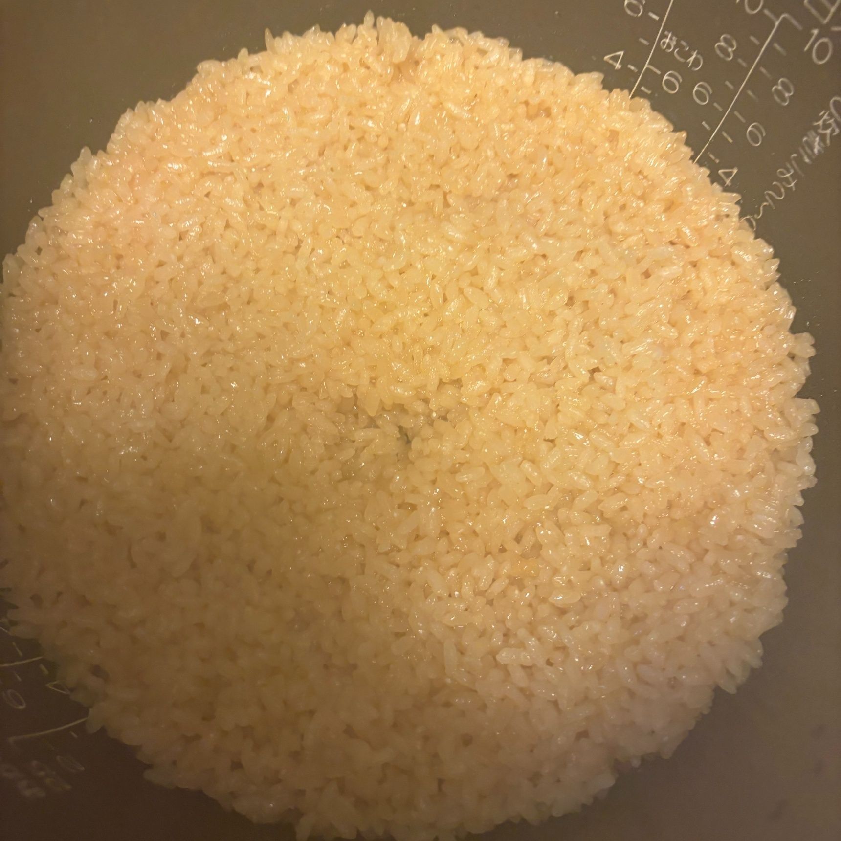 コチラ熱々炊き上がり！すごく美味しそうな匂いがしています。