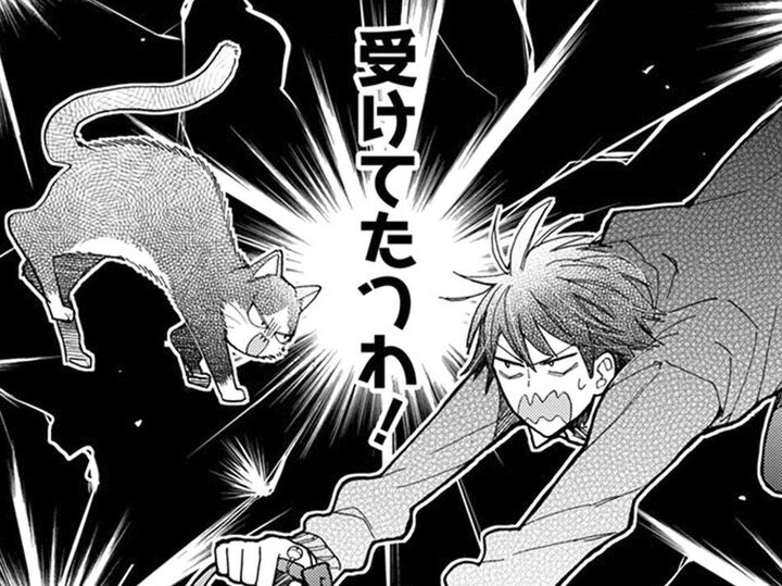 いつも頼りないのに今日は珍しく真剣じゃない。いいわよ、受けてたつわ!【同居人はひざ、時々、頭のうえ。#61】
