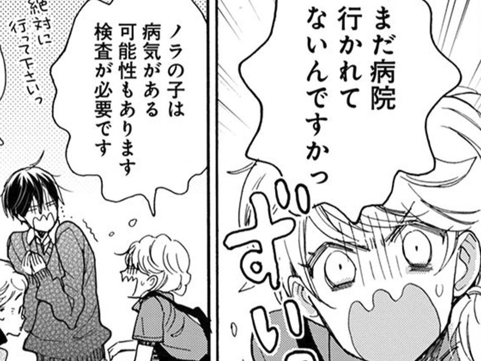 全然知らなかった…。野良猫を拾ったら最初にやるべきことって！？【同居人はひざ、時々、頭のうえ。#59】