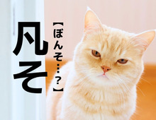【凡そ】なんて読む？「ぼんそ…？」ではありませんよ！【読めそうで読めない漢字クイズ】