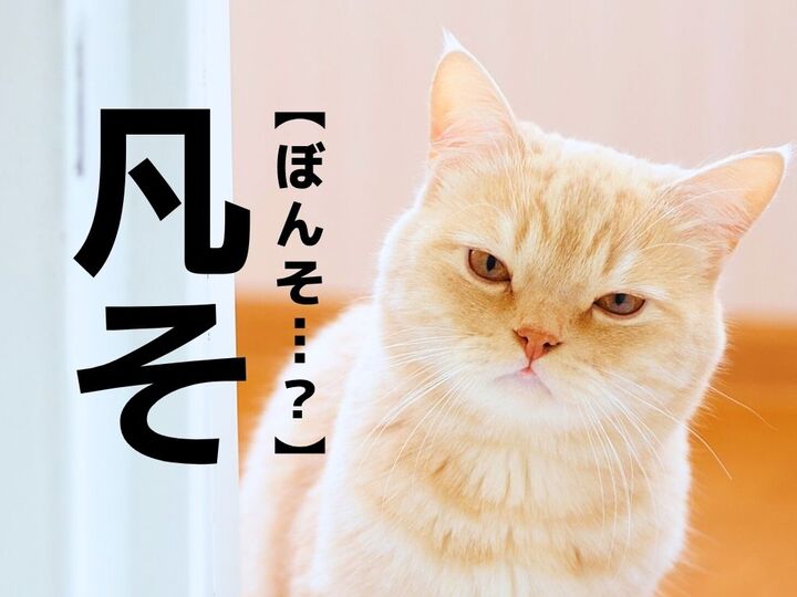 【凡そ】なんて読む?「ぼんそ…?」ではありませんよ!【読めそうで読めない漢字クイズ】