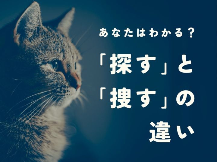 【漢字クイズ】どっちが正解？「探す」と「捜す」の意味の違いと正しい使い分け。