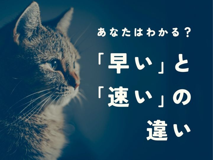 【どっちが正解？】「早い」と「速い」の意味の違いと正しい使い分け。簡単クイズに挑戦！