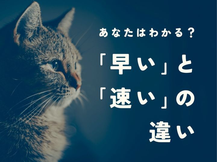 【どっちが正解?】「早い」と「速い」の意味の違いと正しい使い分け。簡単クイズに挑戦!