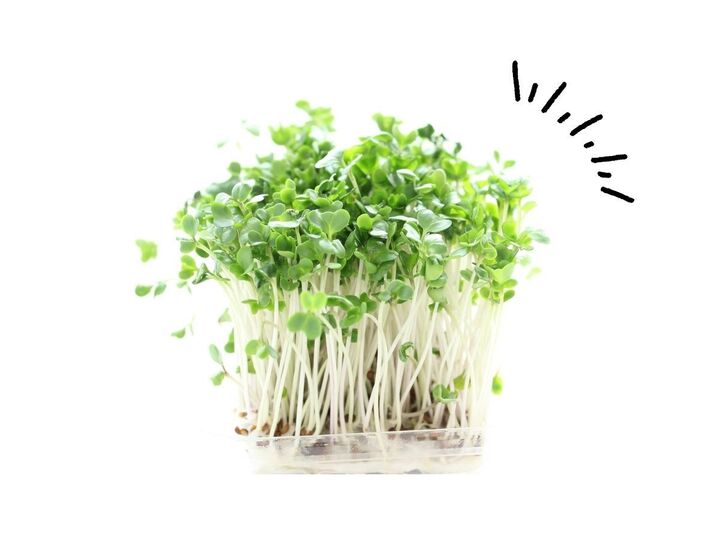 スーパーに行ったら『ブロッコリースプラウト』に注目!暑い日にぴったりな斬新な食べ方にチャレンジ♪