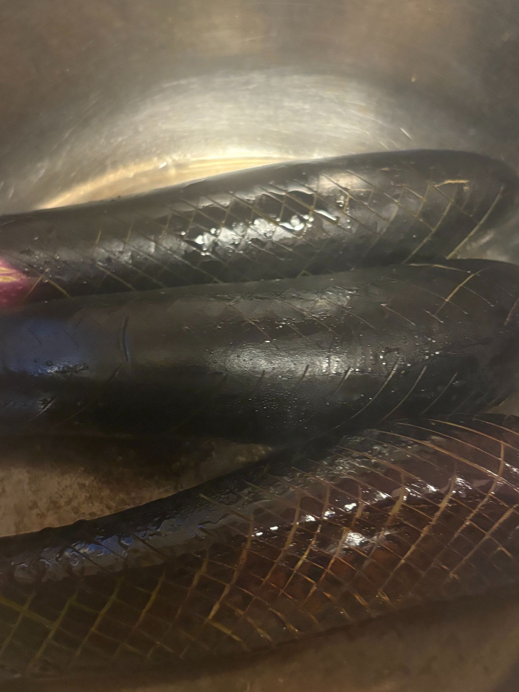 鍋に油を入れてナスの表面を転がしながら少し焼きます。