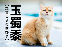 【玉蜀黍】って読める？ポルトガルから伝来したあるモノの名前ですよ【読めそうで読めない漢字クイズ】