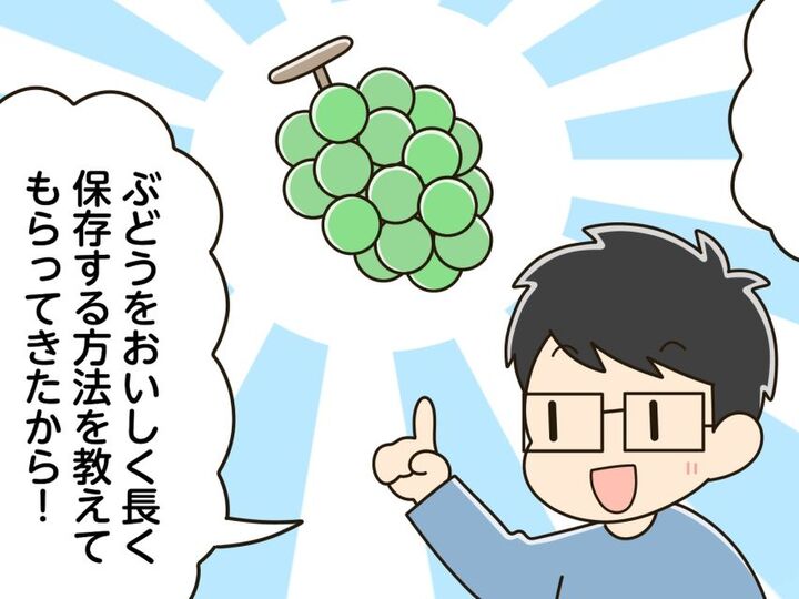『ぶどう』そのまま保存するの待って!ちょっとしたコツで長持ちするんです♪最後までおいしく食べる方法とは