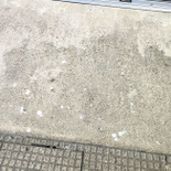 鳥のフン対策！効果がある方法が知りたい～「本当に困ってます･･･（泣）」