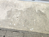 鳥のフン対策！効果がある方法が知りたい～「本当に困ってます･･･（泣）」