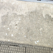 鳥のフン対策！効果がある方法が知りたい～「本当に困ってます･･･（泣）」