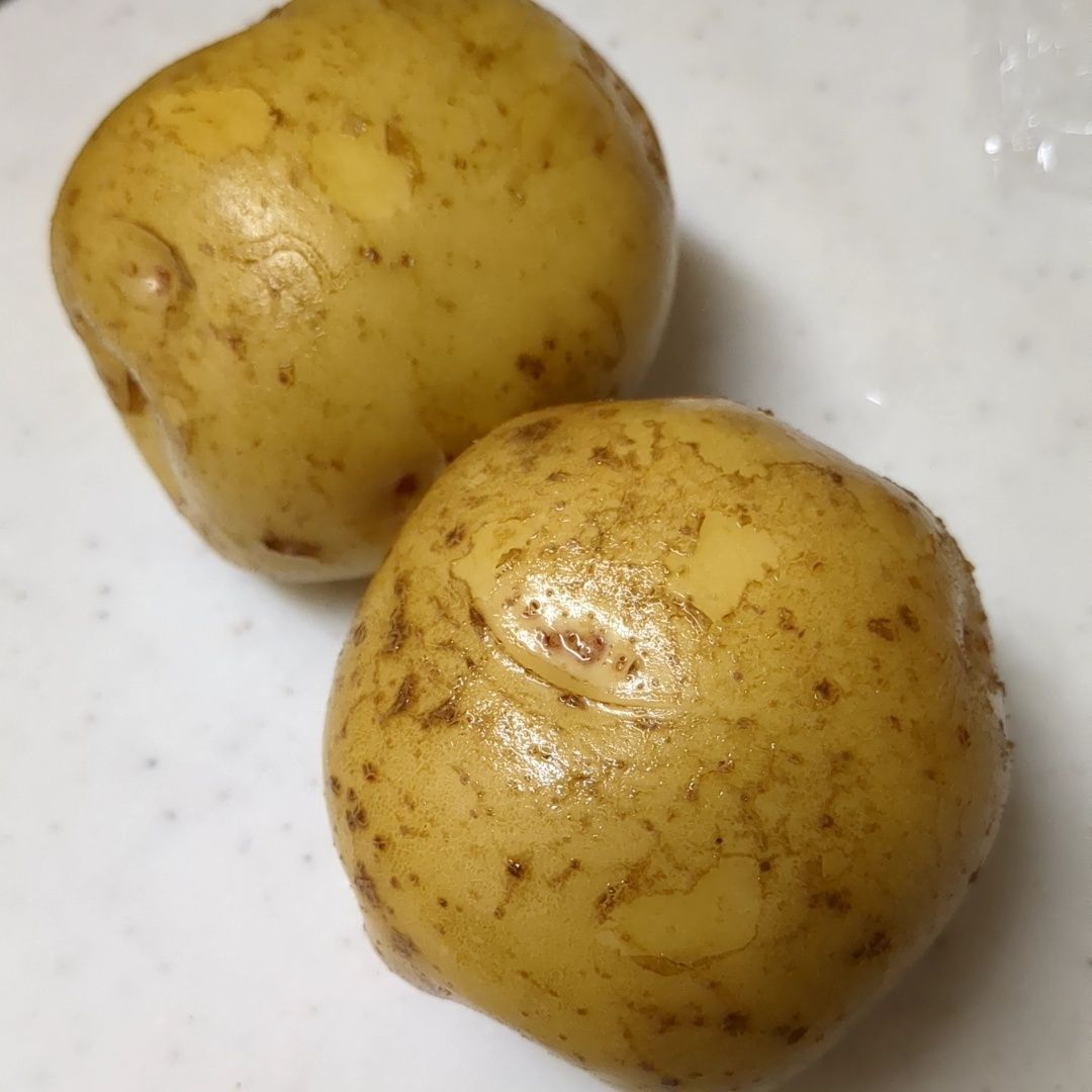 じゃがいもをチンします。