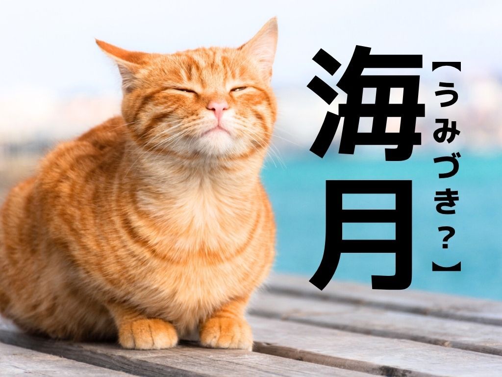 【海月】なんて読む？「うみづき」ではありませんよ！【読めそうで読めない漢字クイズ】