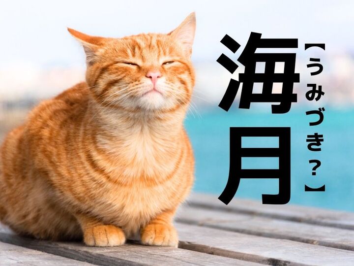 【海月】なんて読む?「うみづき」ではありませんよ!【読めそうで読めない漢字クイズ】