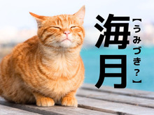 【海月】なんて読む？「うみづき」ではありませんよ！【読めそうで読めない漢字クイズ】