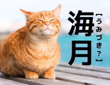 【海月】なんて読む？「うみづき」ではありませんよ！【読めそうで読めない漢字クイズ】