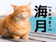 【海月】なんて読む？「うみづき」ではありませんよ！【読めそうで読めない漢字クイズ】