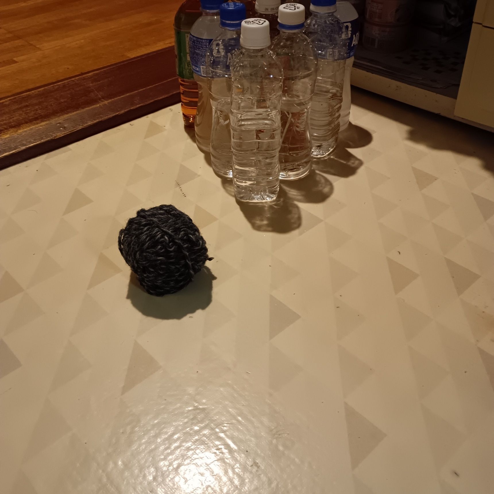 面白い！ペットボトルに水を入れて ボーリングをしよう