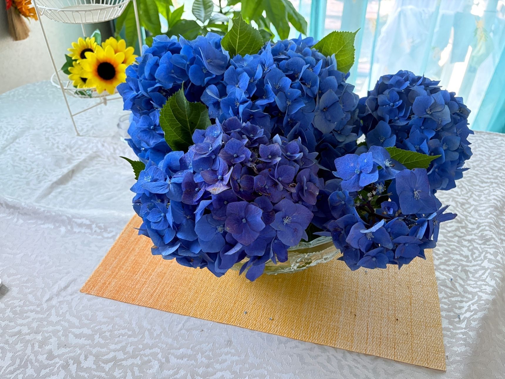 大雨で折れた紫陽花をお部屋で楽しむ