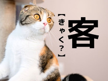 【客】の音読みは「きゃく」。では訓読みではなんと読む？【難読漢字クイズ】