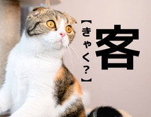 【客】の音読みは「きゃく」。では訓読みではなんと読む？【難読漢字クイズ】