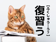【復習う】なんて読む？「ふくしゅうう…？」ではありませんよ！【読めそうで読めない漢字クイズ】