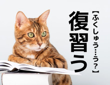 【復習う】なんて読む？「ふくしゅうう…？」ではありませんよ！【読めそうで読めない漢字クイズ】