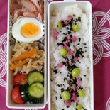 作り置きを利用する夏のお弁当