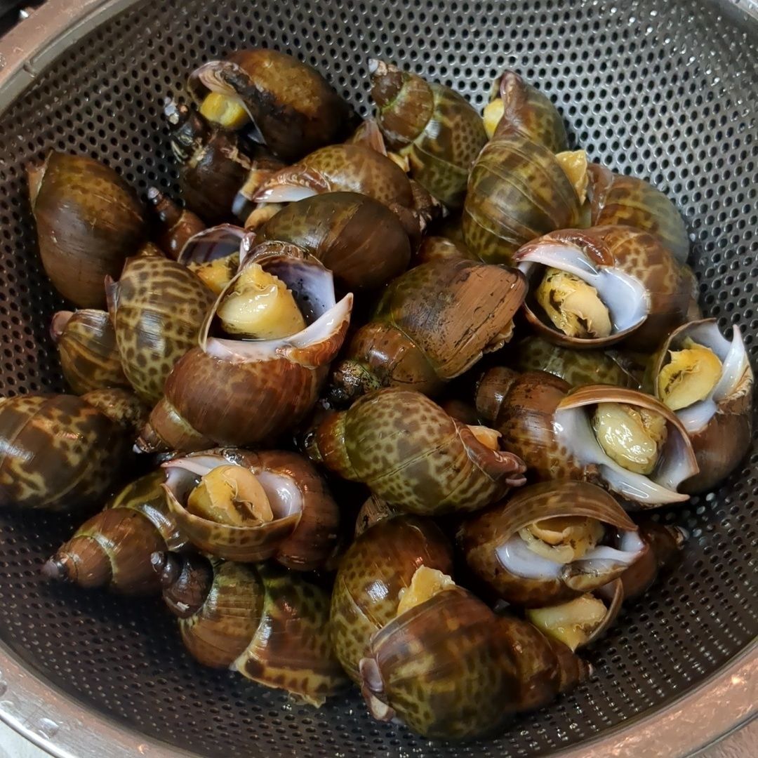 下処理②