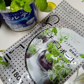 インドア夏休みにも！水やりもラク！チャコボールで育てる室内グリーンのライフハック！ミント増殖中の件