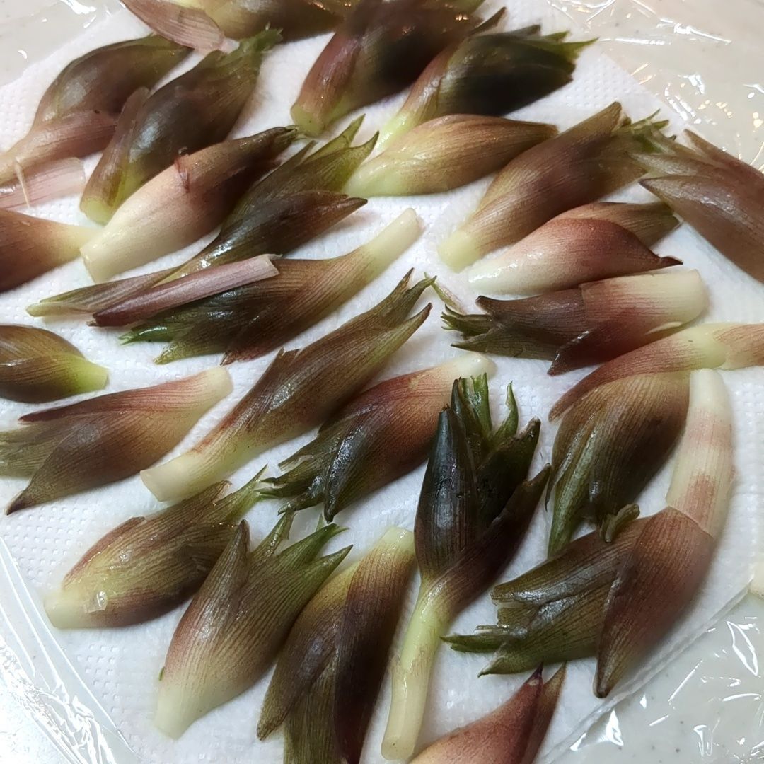 縦半分に切り、水気を切ります。