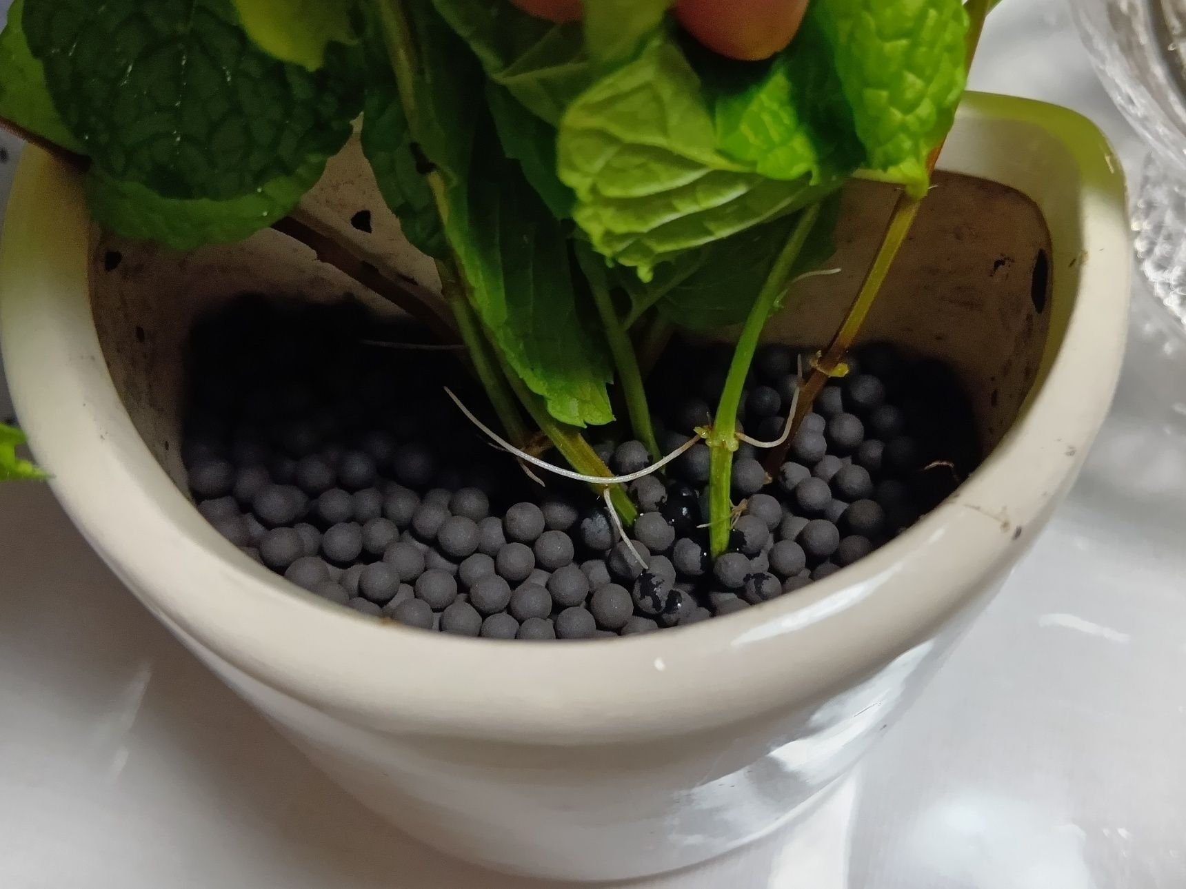そして、軽くて扱いやすく、植え替えも簡単。