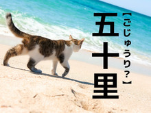 【五十里】なんて読む？「ごじゅうり」ではありません。ひらがな3文字の難読名字です！【漢字クイズ】