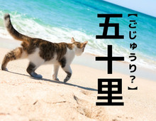【五十里】なんて読む？「ごじゅうり」ではありません。ひらがな3文字の難読名字です！【漢字クイズ】