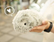 「あまりにもかわいすぎる…！」カシオのAIペットロボット『Moflin（モフリン）』に新色が登場！新宿高島屋ポップアップ体験会をレポート