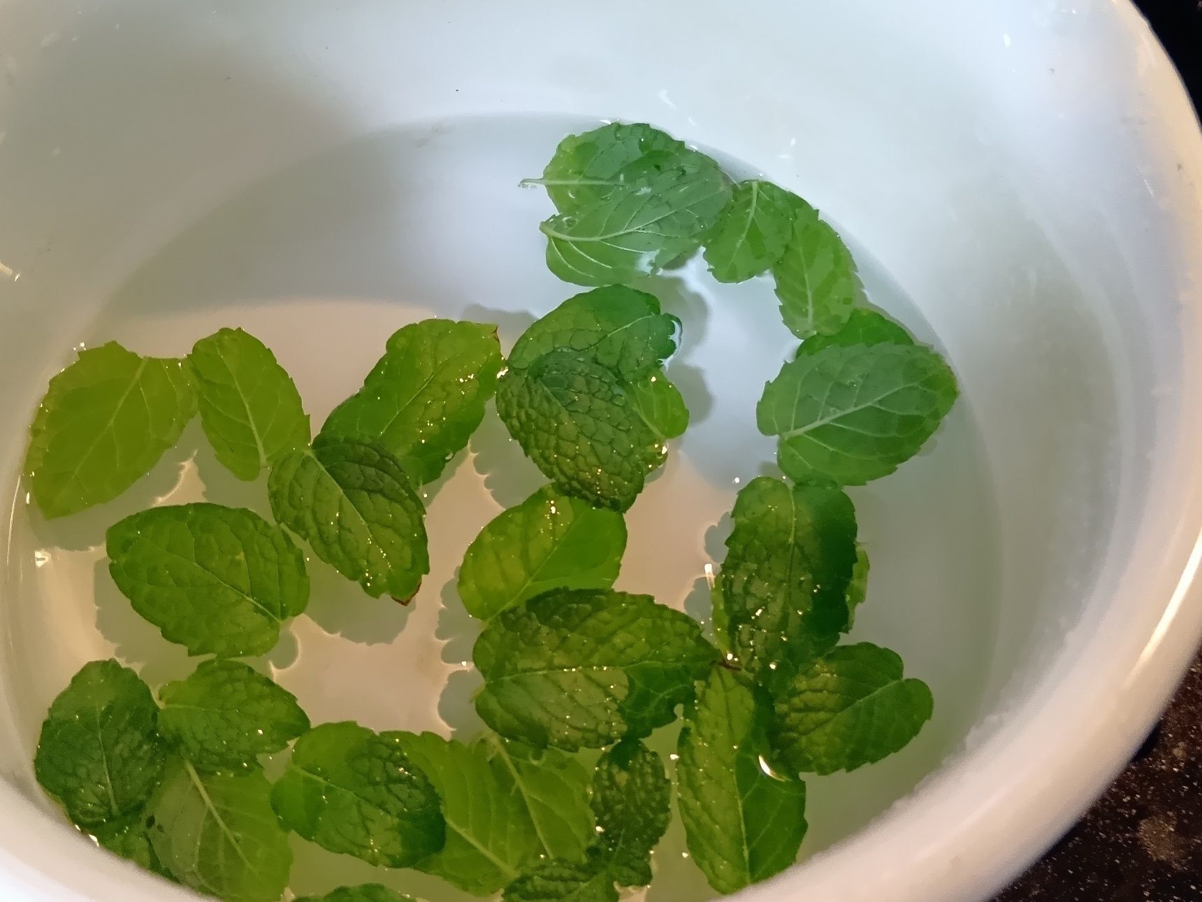 眺めて癒やされ、香りを楽しみ、時には収穫した野菜を食卓で味わう。そんな小さな楽しみの積み重ねが、暑い夏を心地よく過ごすライフハックになっています。