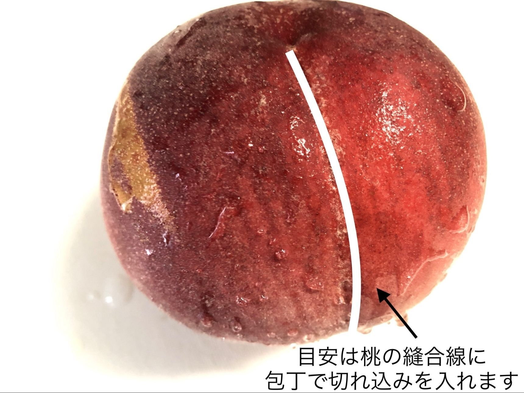 桃の縫合線（ほうごうせん）割れ目に沿って、ぐるっと一周切れ込みを入れます
