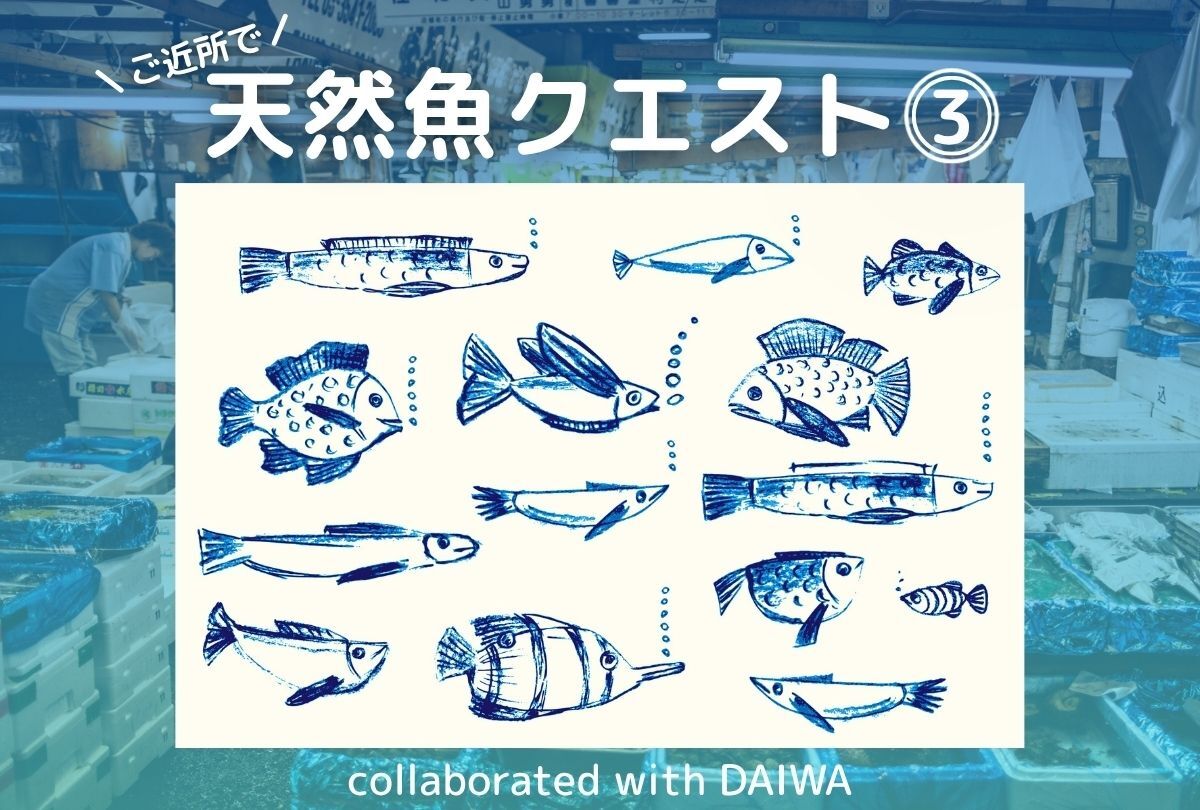「天然魚クエスト in Japan collaborated with DAIWA」第3弾モニター募集スタート！