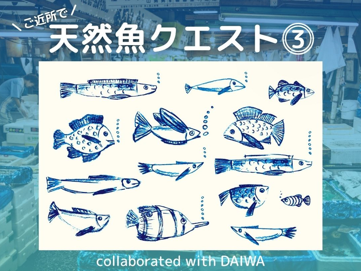 「天然魚クエスト in Japan collaborated with DAIWA」第3弾モニター募集スタート！