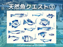 「天然魚クエスト in Japan collaborated with DAIWA」第3弾モニター募集スタート！