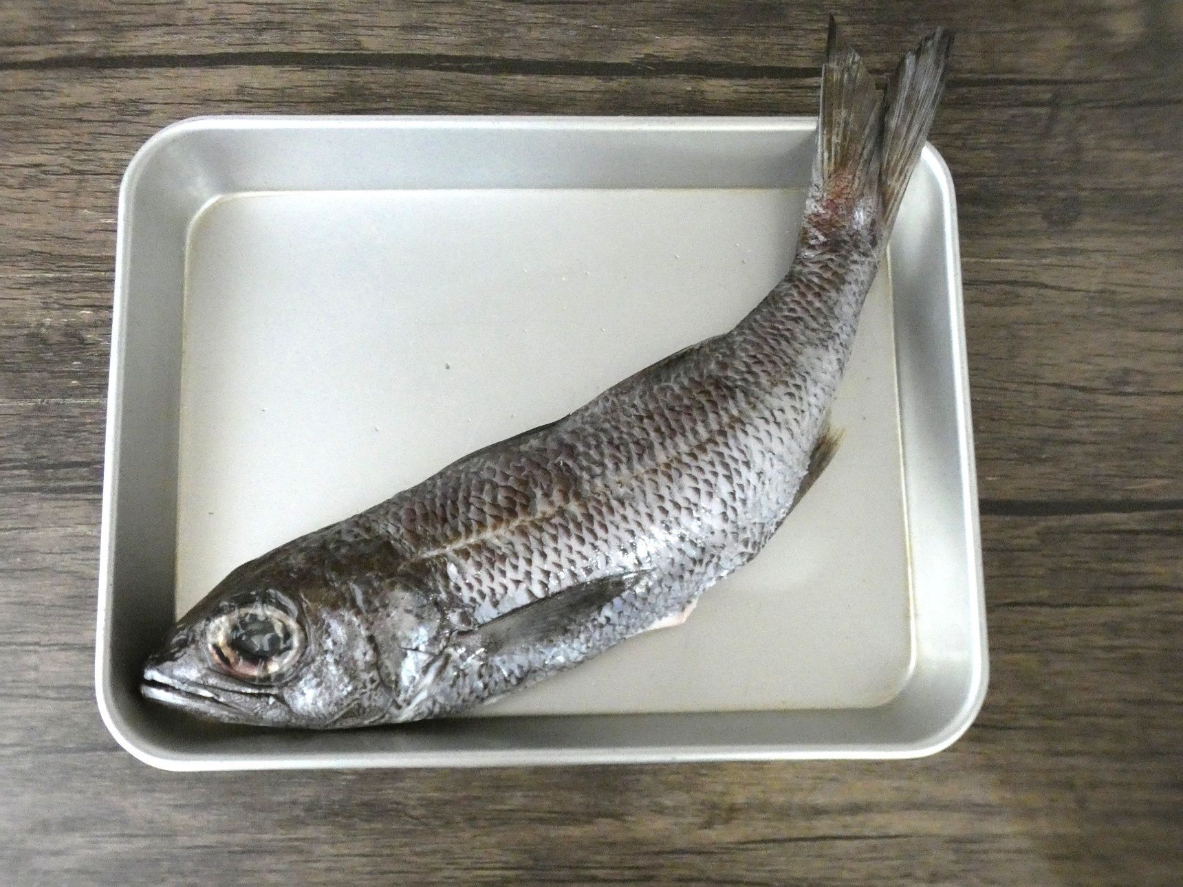 〈天然魚クエスト〉コンテストでクロムツとクーラーボックスが届きました！