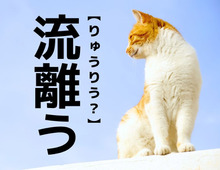 【流離う】なんて読む？「りゅうりう…？」ではありません。漢字が得意な人ならわかるはず！【漢字クイズ】