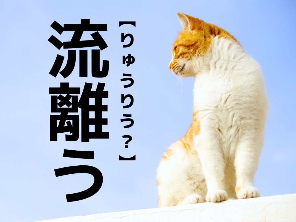【流離う】なんて読む？「りゅうりう…？」ではありません。漢字が得意な人ならわかるはず！【漢字クイズ】
