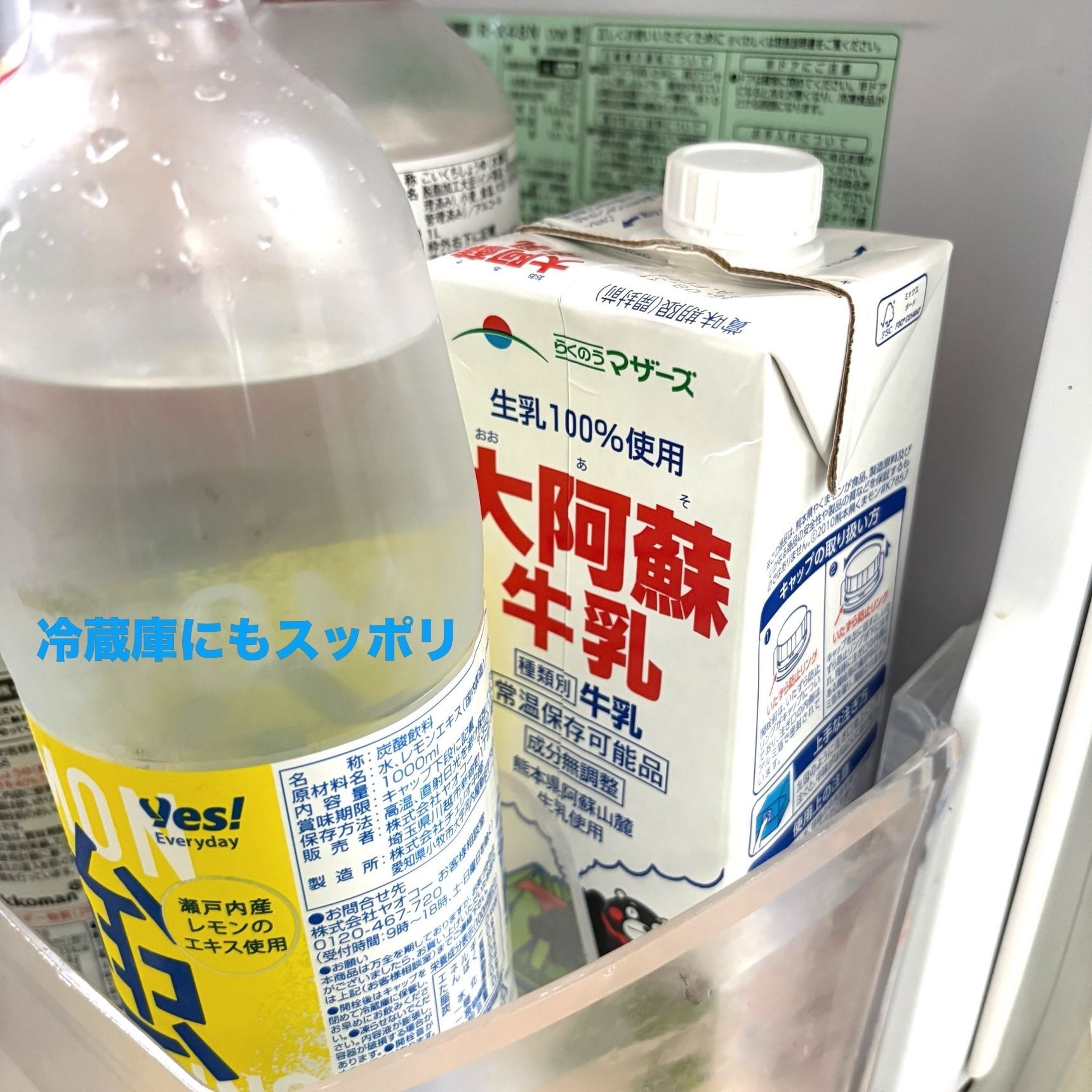 冷蔵庫にもスッポリ